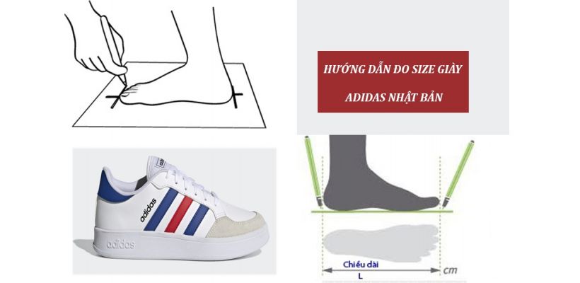Bảng size giày Adidas Nhật Bản vừa chân, chuẩn xác nhất